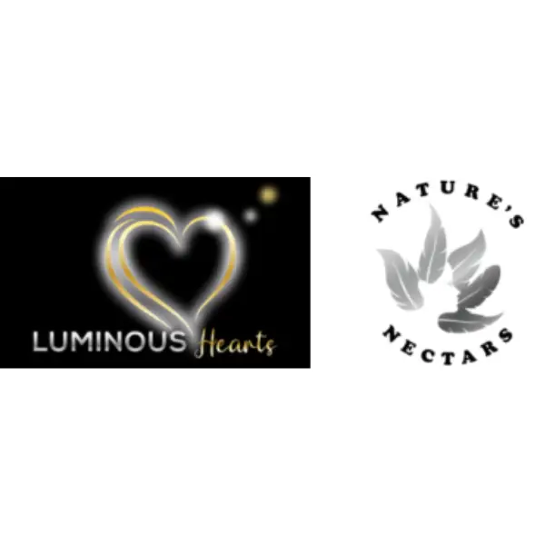 Luminous Heart Team